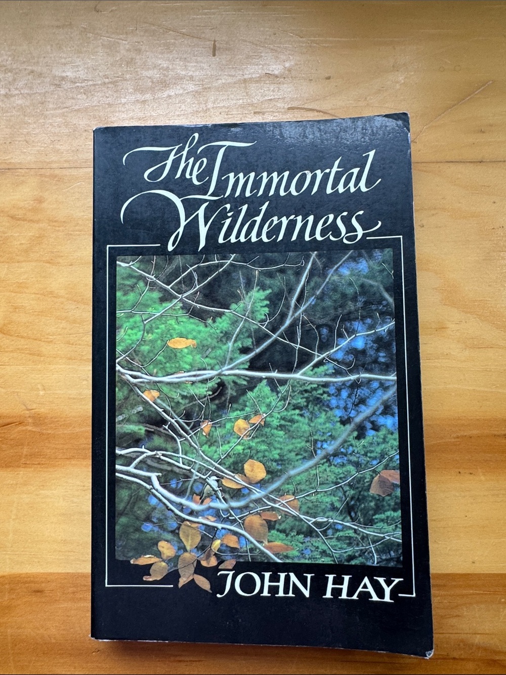 📚2/$6 The Immortal Wilderness